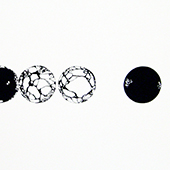 comingapart